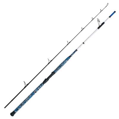 WFT Sea Buster Jig & Pilk, 2,45m - 60-190g - 2tlg - 355g