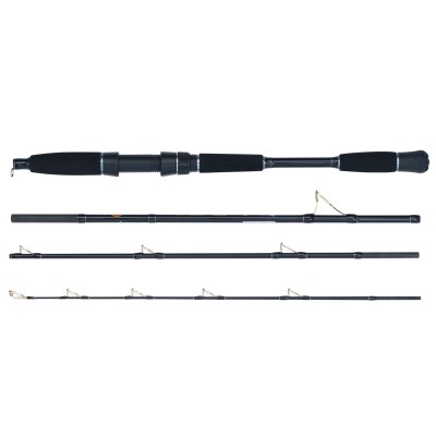 WFT Sea Dart Norway Fjord Reiserute 2,1m - 30-120g - 4tlg - 12lbs