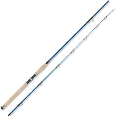 Rainer Korn Sea Spin 2,6m - 60-180g - 2tlg - 280g