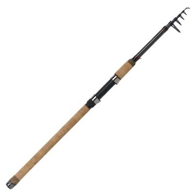 WFT Lake ‚N‘ River Tele 2,7m - 30-100g - 6tlg - 265g