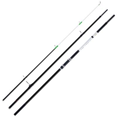 WFT XK Bone Surf, 4,2m - 80-220g - 3tlg - 540g