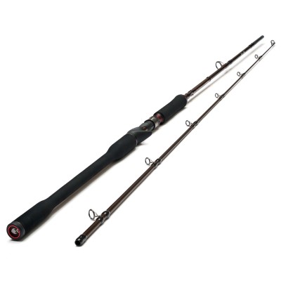 Westin W4 Powercast-T 2nd Baitcastrute 2,18m - 50-150g - 2tlg. - 196g - XXH