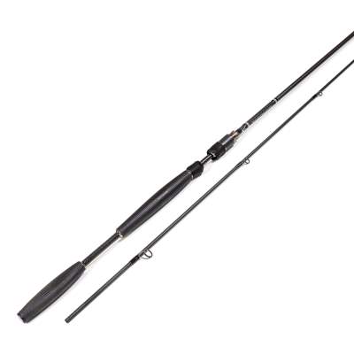 Westin W10 Spin, 275cm - 5-24g - 2tlg - 151g - ML