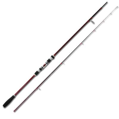 Senshu Japanese Spin 300, 3m - 18-85g - 2tlg - 297g