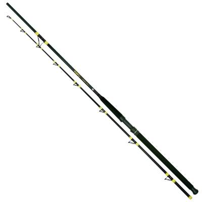 Black Cat Passion Pro II 2,70m, Black Cat Passion Pro II 2,70m 2-tlg. 300-600g