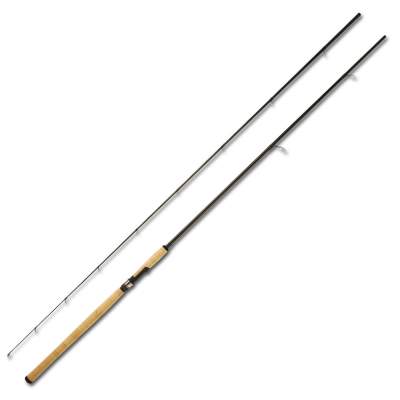 Berkley SIGNA-Salmon Spinning 3,1m - 9-41g - 2tlg - 190g