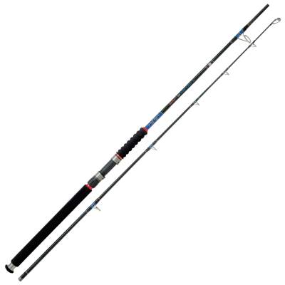Rhino DF Big Fish 240 2,4m - 300-g - 2tlg - 430g