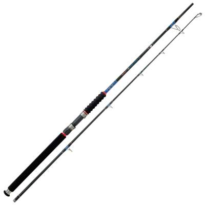 Rhino DF Big Fish 240, 2,4m - 300-g - 2tlg - 430g