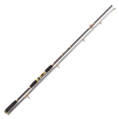 Penn Overseas 302 SW Spin 3m - 20-60g - 2tlg - 270g