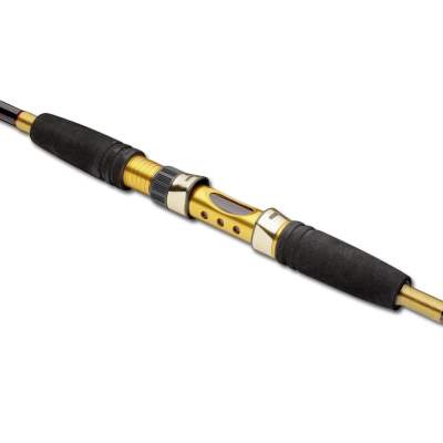 Penn Overseas 302 SW Spin 3m - 20-60g - 2tlg - 270g