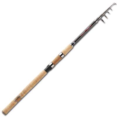 ABU Garcia Target Compact T-330 Pike 3,3m - 50-100g - 6tlg - 291g