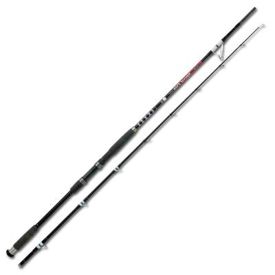 Rhino DF Speed Pilk  240, 2,4m - 250-g - 2tlg - 345g