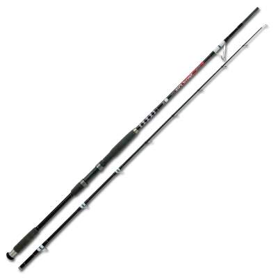 Rhino DF Speed Pilk  270 2,7m - 250-g - 2tlg - 385g