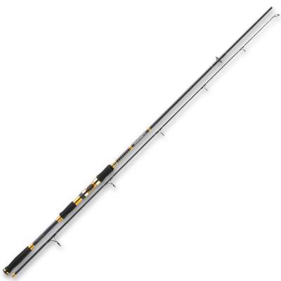 Penn Overseas Pro 242 SW Spin 2,4m - 15-40g - 2tlg - 176g