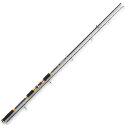 Penn Overseas Pro 242 SW Spin, 2,4m - 15-40g - 2tlg - 176g