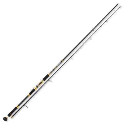 Penn Overseas Pro 302 100/160 Heavy Pilk 3,00m - 100-160g - 2tlg - 327g