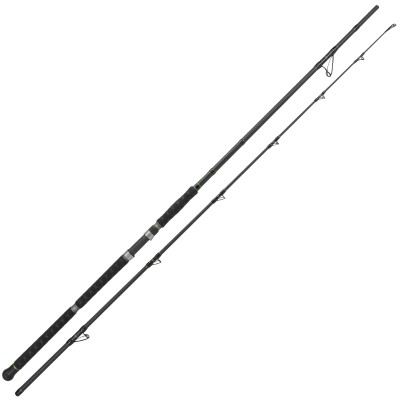 Catix Long Range + Penn Spinfisher VI 10500 Waller-Combo 3,10m - 300-600g - 530g - 10500