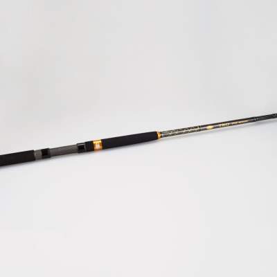 Penn TRQ Inner Line 902 60/120 Pilk 2,70m - 60-120g - TL140cm - 365g