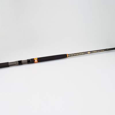Penn TRQ Inner Line 1002 60/120 Pilk 3,00m - 60-120g - TL155cm - 370g