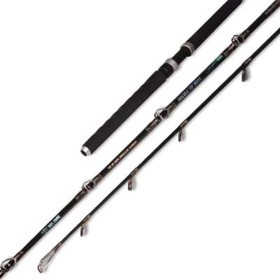 Angel Domäne Double Tip Boat, 2,2m - 25-30lbs - 2tlg - 450g