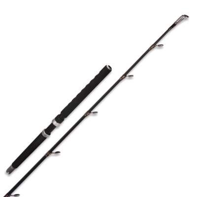 Angel Domäne Seashad Boat 2,2m - 300-700g - 30-40lbs - 2tlg - 488g