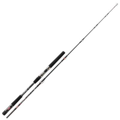 Berkley Tec Cat Hunter - Verticspin 221, 150/300, 2,2m - 150-300g - 2tlg - 405g