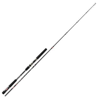 Berkley Tec Cat Hunter - Fireball 201, 100/250 Spin, 2m - 150-300g - 2tlg - 275g