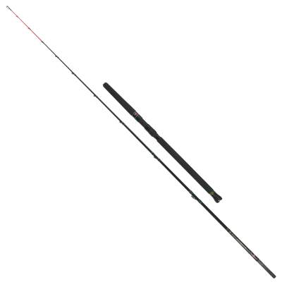 Penn Regiment Halibut 50 2,40m 50 lbs Heilbutt Spezialrute 2,4m - 0-50lbs - 2tlg - 384g