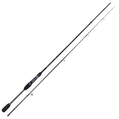 Roy Fishers Trout & Perch Special Casting 2102 210cm, 8-28g, 2-teilig