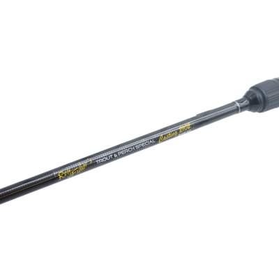 Roy Fishers Trout & Perch Special Casting 2102 210cm, 8-28g, 2-teilig