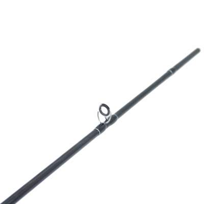 Roy Fishers Trout & Perch Special Casting 2102 210cm, 8-28g, 2-teilig