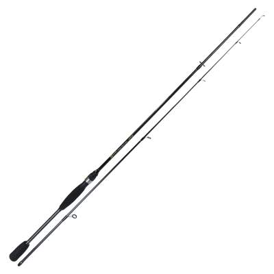 Roy Fishers Trout & Perch Special 2102, 210cm, 8-28g, 2-teilig