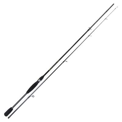 Roy Fishers Trout & Perch Special 2102 210cm, 8-28g, 2-teilig