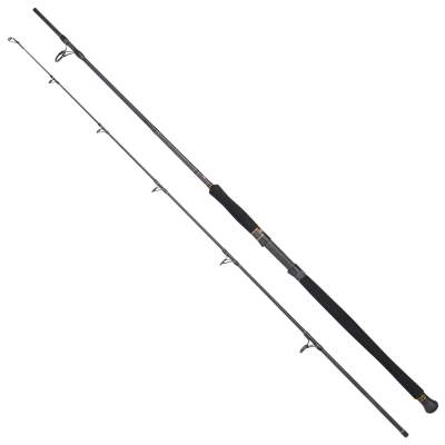 Penn Regiment CF Sea Spin 2,40m 50- 160g 2,4m - 50-160g - 2tlg - 320g