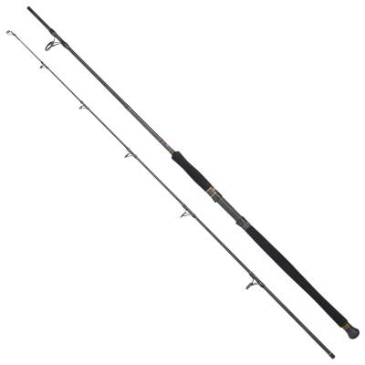 Penn Regiment CF Sea Spin 2,40m 50- 160g, 2,4m - 50-160g - 2tlg - 320g