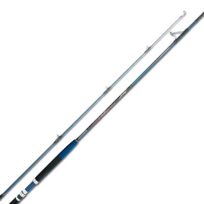 Quantum Sea Sea World Champion Nordic Jigger 120, 3,1m - 60-120g - 2tlg - 378g