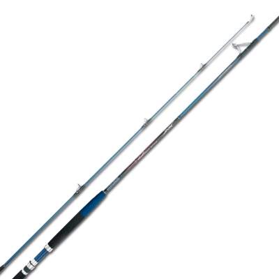 Quantum Sea Sea World Champion Nordic Jigger 80 3,1m - 40-80g - 2tlg - 351g