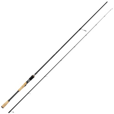 Roy Fishers Carbon Spin - Spinrute 9002 - 2,70m - 10-28g - 2tlg.