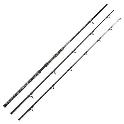 WFT Big Cat Bank Cat - Welsrute 4,1m - 200-1200g - 3tlg - 820g
