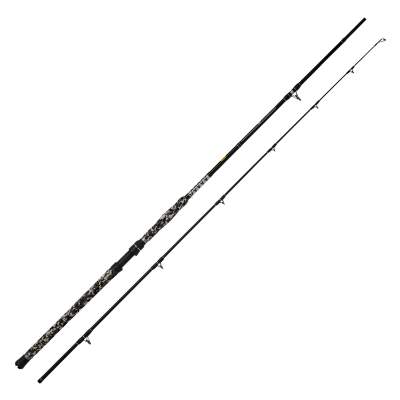 WFT Big Cat Spin Cat Welsrute 2,4m - 20-190g - 2tlg - 290g