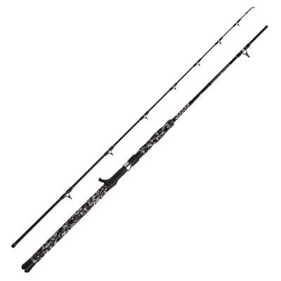 WFT Big Cat Vertical Cat Cast Welsrute 2,1m - 50-210g - 2tlg - 260g