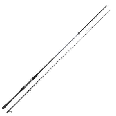 Daiwa Ballistic-X Seatrout 2.90m 10-40g, 2,9m - 10-40g - 2tlg - 159g