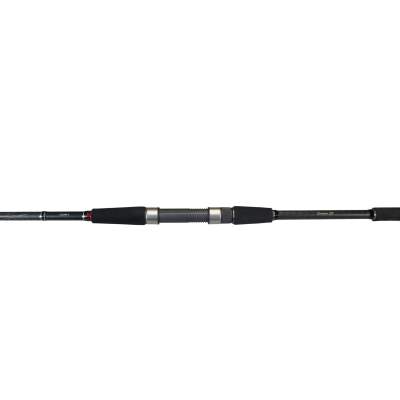 Daiwa Ballistic-X Seatrout 2.90m 10-40g, 2,9m - 10-40g - 2tlg - 159g