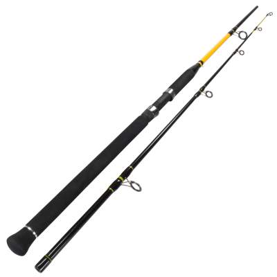 Team Deep Sea Unbreakable Heavy Spin Kombo 2.40m 100-400g,