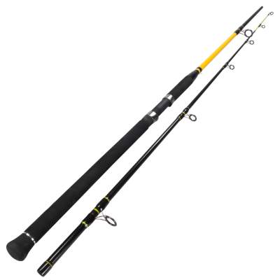 Team Deep Sea Unbreakable Special Pilk 270cm - 50-160g - 2tlg - 495g