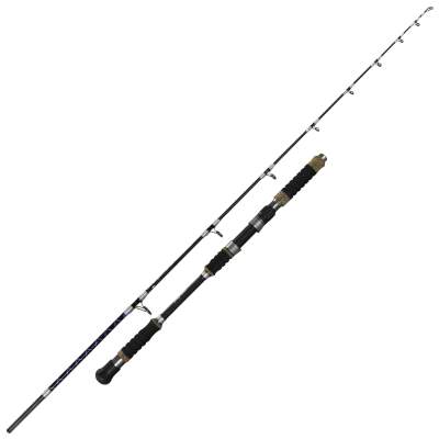 Team Deep Sea Leka Seafighter 198cm - 15-30lbs - 2tlg - 368g