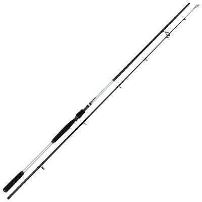 Senshu Titan SeaBass Spinning 300cm 2-tlg 30-100g