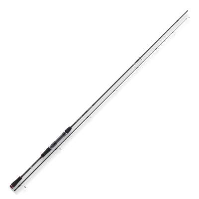 Daiwa Ballistic X Seatrout - Meerforellenrute 2,85m - 10-40g - 2tlg - 160g