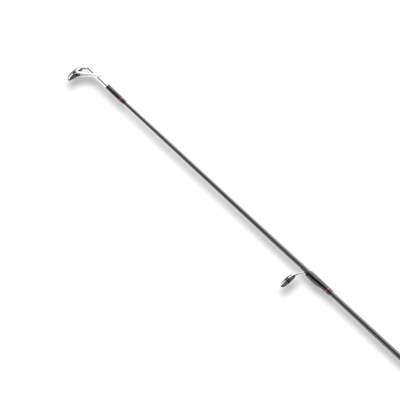 Daiwa Ballistic X Seatrout - Meerforellenrute 2,85m - 10-40g - 2tlg - 160g