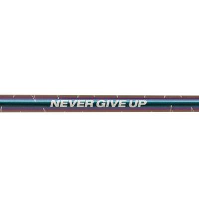 ABU Garcia Iaconelli IKE Signature - Castingrute 822 H - 2,45m - 45-90g - 2tlg